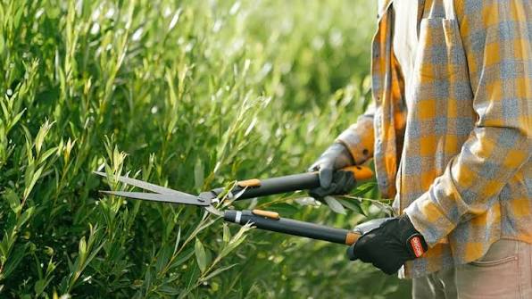 Private Gardener Jobs in Denmark – Copenhagen for Villas, Estates and Country Houses - 01